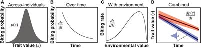 The Role of Vector Trait Variation in Vector-Borne <mark class="highlighted">Disease Dynamics</mark>